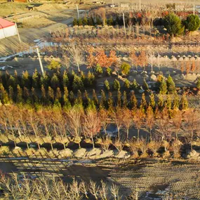 aerial view of oberson's tree nursery