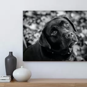 Bild von Canvas & Decor