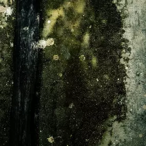 Bild von Standard Restoration
