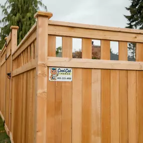 Bild von Cool Cat Fence - Dallas