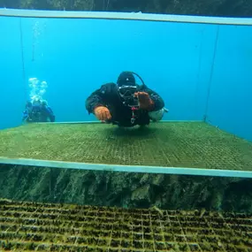 Bild von SDI TDI Divecenter Flaschenkind
