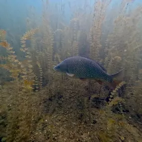 Bild von SDI TDI Divecenter Flaschenkind