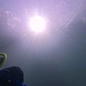 Bild von SDI TDI Divecenter Flaschenkind