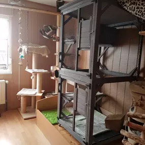 Bild von Katzenpension 