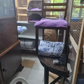 Bild von Katzenpension 