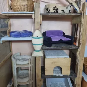 Bild von Katzenpension 