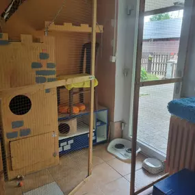 Bild von Katzenpension 
