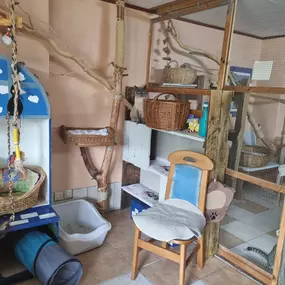 Bild von Katzenpension 