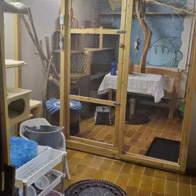 Bild von Katzenpension 