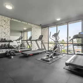 A well-equipped gym with a treadmill, weights, and exercise machines.