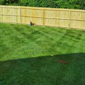 Bild von All Fence Company of Ohio