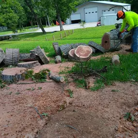 Bild von Texas Tree Masters