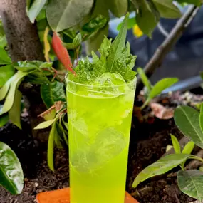 Bild von Antony's Bar - Frankfurt am Main