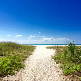 Bild von The Molloy - A Boutique Beach Resort