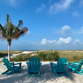 Bild von The Molloy - A Boutique Beach Resort