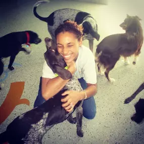 Bild von KC Dawgz Dog Training Academy