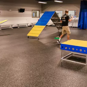Bild von KC Dawgz Dog Training Academy