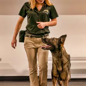 Bild von KC Dawgz Dog Training Academy