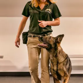 Bild von KC Dawgz Dog Training Academy