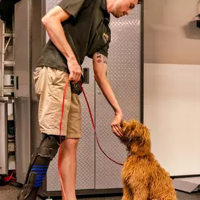 Bild von KC Dawgz Dog Training Academy