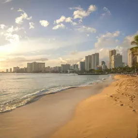 Bild von Aloha Clear Water