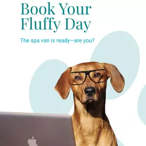 Bild von Fluffy Pet Wash Mobile Dog Grooming
