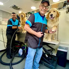 Bild von Fluffy Pet Wash Mobile Dog Grooming