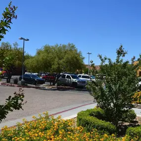 Bild von Nevada Oral & Facial Surgery - Las Vegas, NV