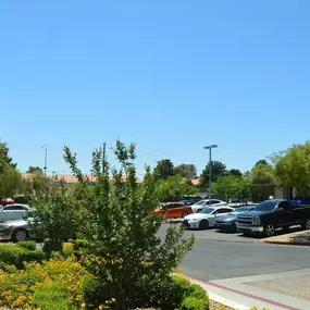 Bild von Nevada Oral & Facial Surgery - Las Vegas, NV