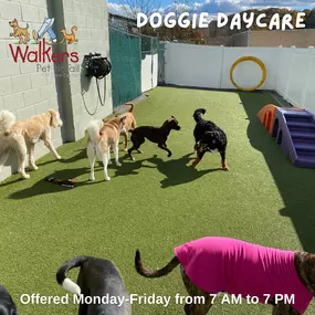 Bild von Walkers Pet HoTail Pet Care Center