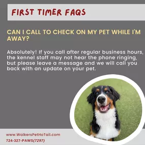 Bild von Walkers Pet HoTail Pet Care Center