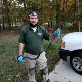 Bild von Lewis Pest Control & Wildlife Removal