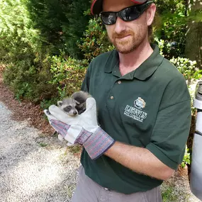 Bild von Lewis Pest Control & Wildlife Removal