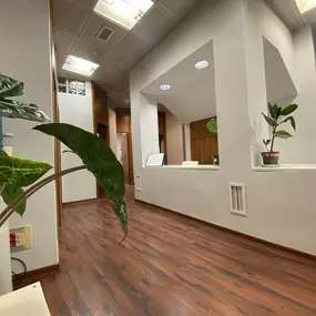 Bild von FÉNIX ACADEMY  Spanish language school