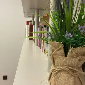 Bild von FÉNIX ACADEMY  Spanish language school