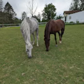 Bild von Too Far Out Farm LLC