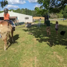 Bild von Too Far Out Farm LLC