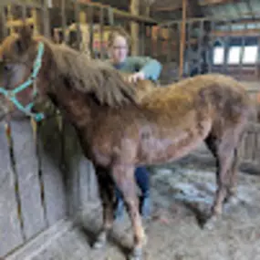 Bild von Too Far Out Farm LLC