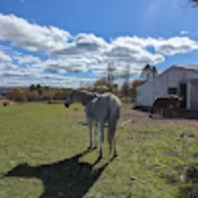 Bild von Too Far Out Farm LLC