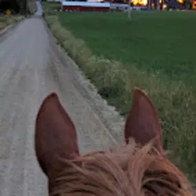 Bild von Too Far Out Farm LLC