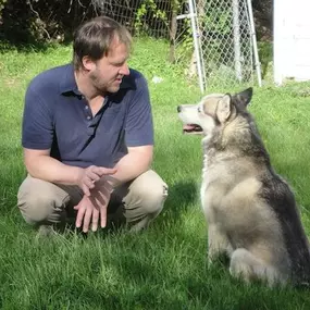 Bild von Dog Gone Problems