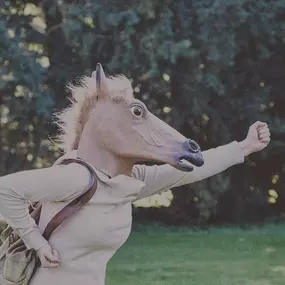 Bild von Blue Bear Creative - Social Media Agency Denver