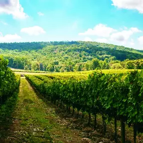 Minutes from wineries, breweries, and more