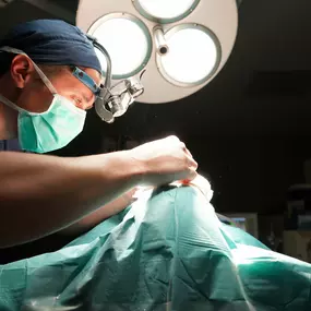 Bild von Dr. Diego Arancibia Tagle