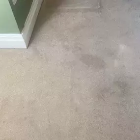 Bild von A.H.S Cleaning Services Ltd