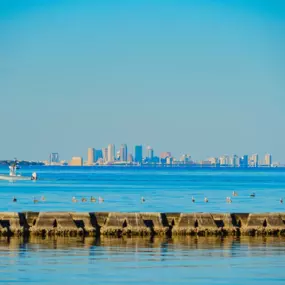 Apollo Beach Minutes from Compass Pointe