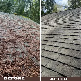 Bild von Johnny Tsunami Exterior Cleaning