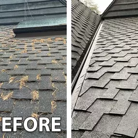 Bild von Johnny Tsunami Exterior Cleaning
