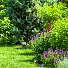 Bild von Northern Gardens LLC