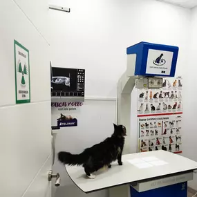Bild von MAVET Centro Veterinario